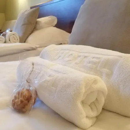 Rycerski Hotel Czeladź