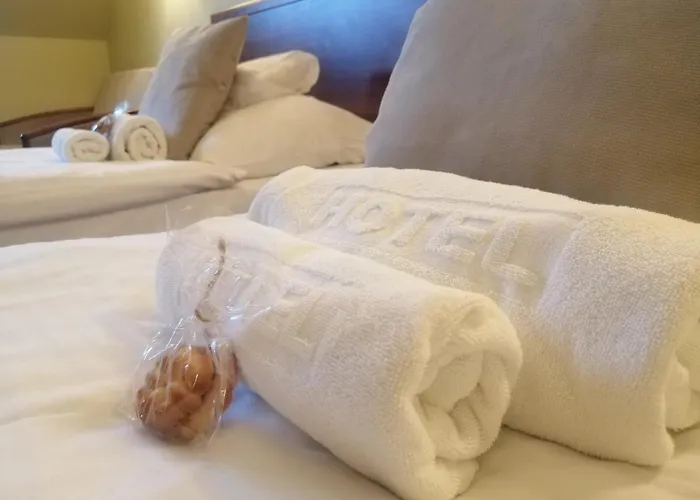 Rycerski Hotel Czeladź